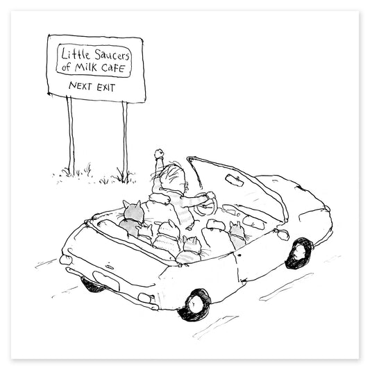 Little Saucers of Milk Cafe