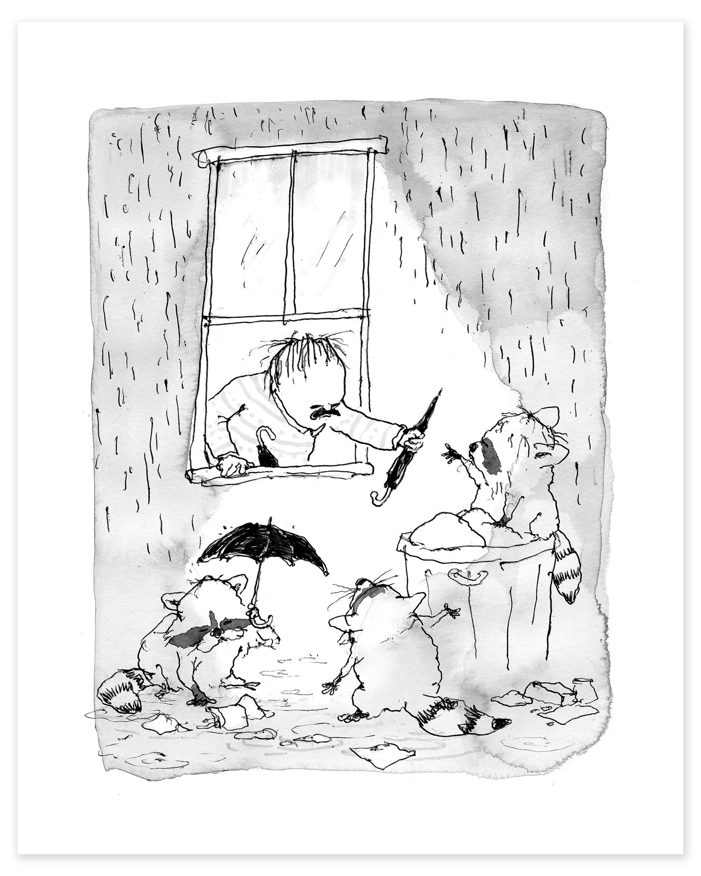 Rain Raccoons