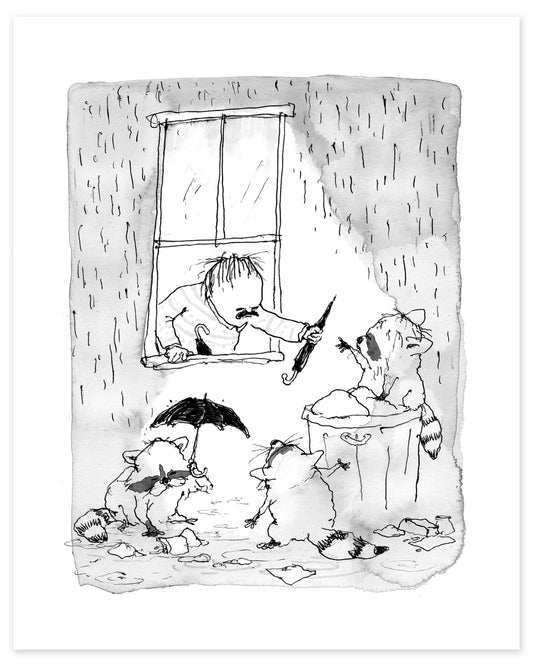 Rain Raccoons